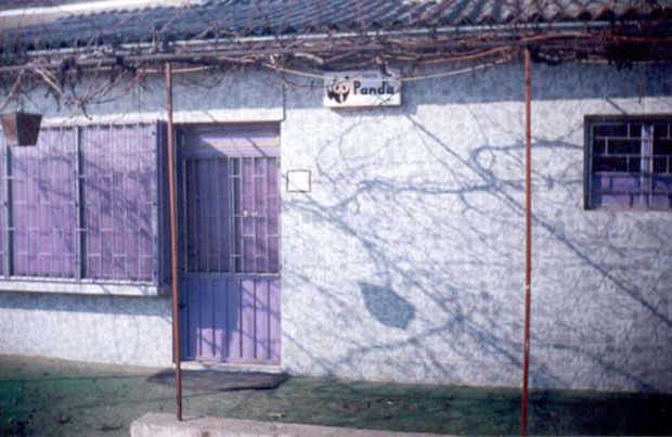 Хиљаду прича, а ниједна истина о Панди